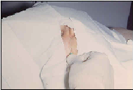 wp1181d3ae.png