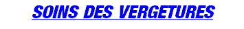 wp6a070420.png