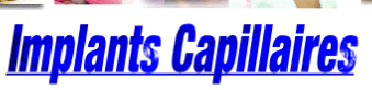 wpe17ce7c8.png